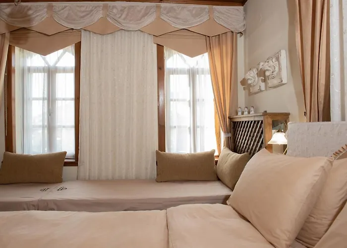 Dandy - Snow Fairy - Sauna